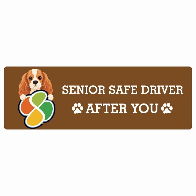 カーサイン 高齢者マーク SENIOR SAFE DRIVER イングリッシュコッカースパニエル ステッカー シール 長方形 20x6.7cm 肉球 日本製 車