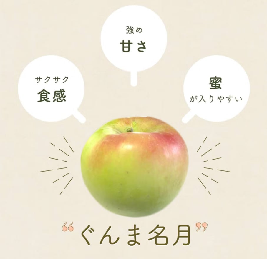 長野県産りんご ぐんま名月 秀品 ご贈答 果物 フルーツ お取り寄せ 産地直送 【送料無料(一部地域除く)】