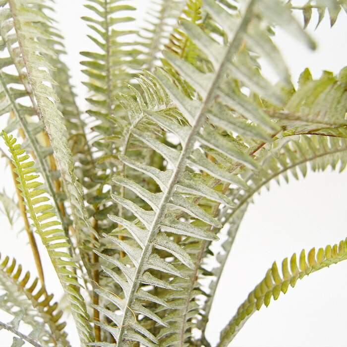 観葉植物 造花 ボストンファーン シルバー BROWN 全高約77cm 卓上・小型 フェイクグリーン 本物そっくり おしゃれ インテリア 人工観葉植物 アーティフィシャルグリーン オフィス 店舗 ホテル 開店祝い 室内 ミニ シダ タマシダ フェイク