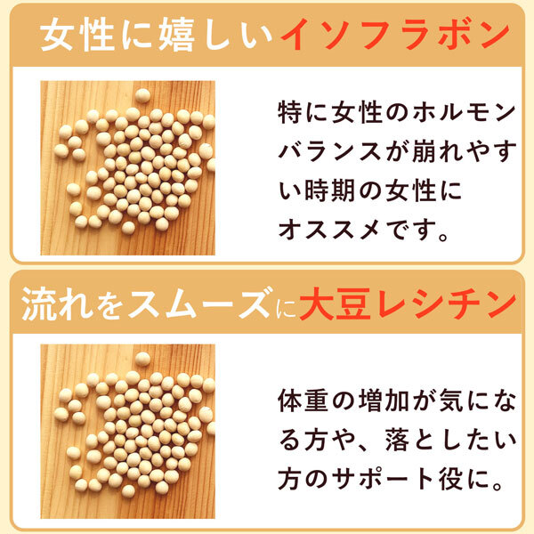 大豆パウダー 130g×1袋 国産 無添加 [cocofukuシリーズ] エクオール 食べる 大豆 イソフラボン ソイパウダー タンパク質 プロテイン 必須アミノ酸 糖質制限 低糖質 糖質オフ ダイエット 腸活 健康 美容 焙煎 大豆 粉末 遺伝子組み換えでない 健康食品(omb10117)