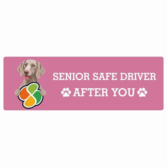 カーサイン 高齢者マーク SENIOR SAFE DRIVER ワイマラナー ステッカー シール 長方形 15x5cm 肉球 日本製 車