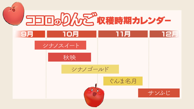 長野県産りんご3兄弟セット シナノスイート 秋映 シナノゴールド ご贈答 果物 フルーツ お取り寄せ 産地直送 【送料無料(一部地域除く)】