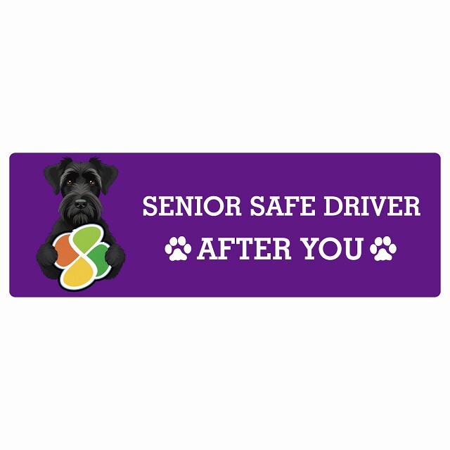カーサイン 高齢者マーク SENIOR SAFE DRIVER ジャイアントシュナウザー ステッカー シール 長方形 20x6.7cm 肉球 日本製 車