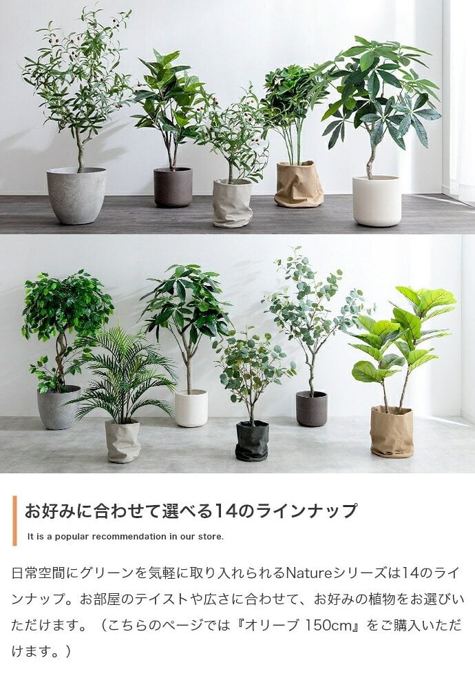 照明 ライト ナチュレ 観葉植物 オリーブ フェイクグリーン 人工 室内 リビング オフィス 一人暮らし 緑 光触媒 空気清浄 消臭 抗菌 防汚 ホルムアルデヒド分解 高さ150cm 造花 おしゃれ 植木 鉢植え 観賞用 グリーン