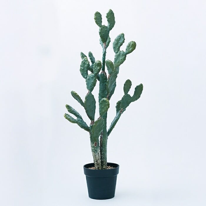 観葉植物 造花 ウチワサボテン BROWN 全高約100cm 中型 フェイクグリーン 本物そっくり おしゃれ インテリア 人工観葉植物 アーティフィシャルグリーン オフィス 店舗 ホテル 開店祝い 室内 サボテン オプンチア フェイク