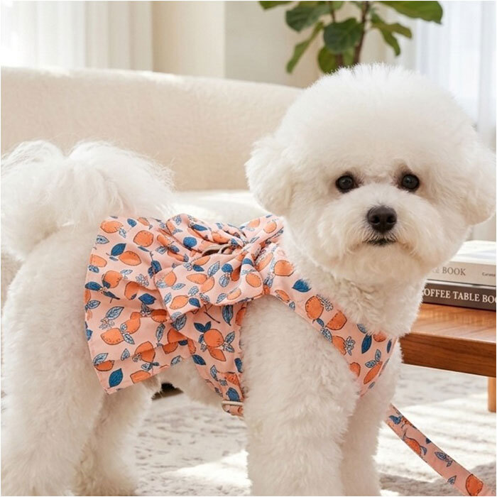ハーネス 小型犬 可愛い 通販 ドレス 犬ドレス 猫 ペット服 犬服 犬の服 ペットウェア ドッグウェア 上品 リボン お姫様 プリンセス 豪華 華やか 犬 いぬ ペット ペットグッズ お散歩 散歩 お出かけ おでかけ かわいい おしゃれ オシャレ