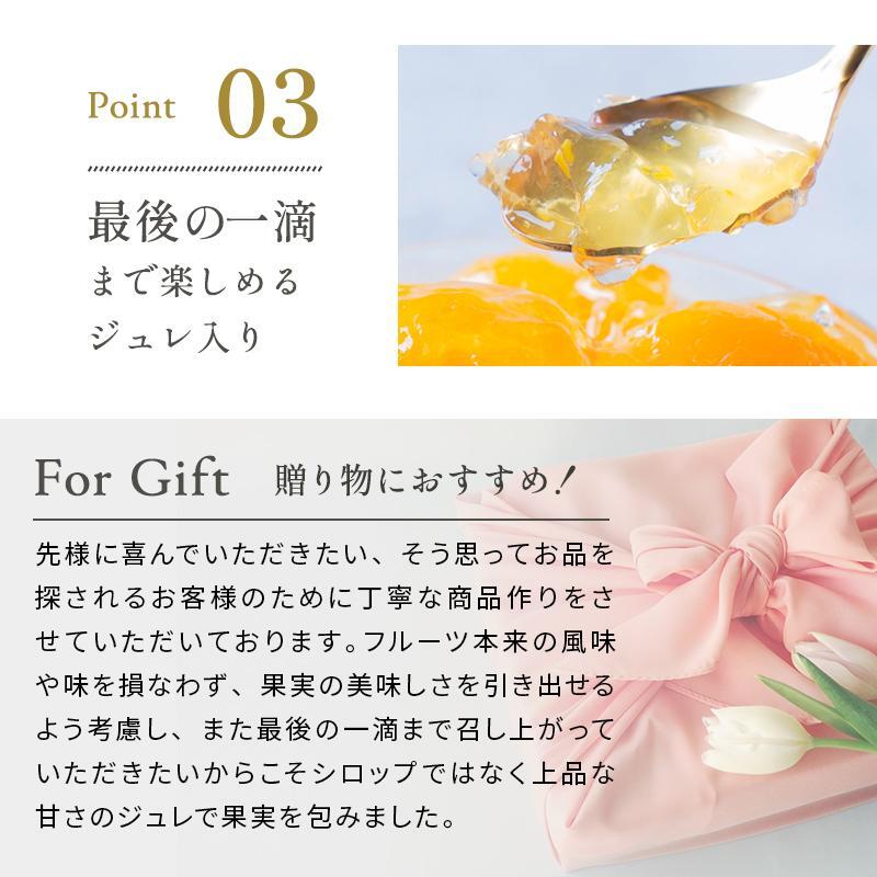 お中元 御中元 夏ギフト プレゼント 果実の宝石箱 フルーツコンポート3本セット 高級 フルーツ ギフト 人気 ゼリー 詰め合わせ オシャレ スイーツ 誕生日プレゼント 贈答用