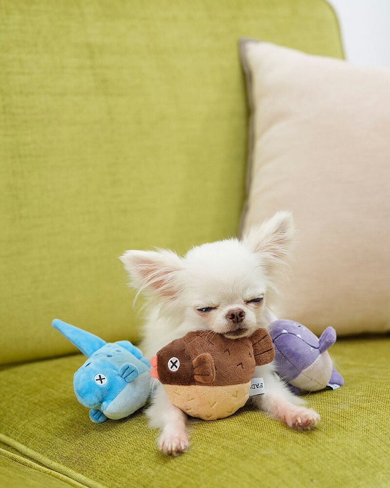 DADWAYPET ダッドウェイペット FAD＋ ファッドプラス プラッシュトイ マンボウ 犬用おもちゃ