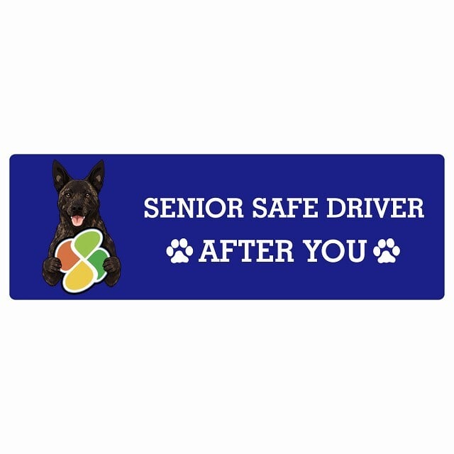 カーサイン 高齢者マーク SENIOR SAFE DRIVER 甲斐犬 ステッカー シール 長方形 15x5cm 肉球 日本製 車