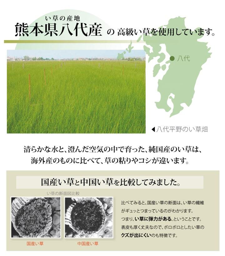 夏ラグ 夏用カーペット 純国産 い草 上敷き カーペット 麻綿織 『清正』 本間8畳(約382×382cm） 熊本県八代産イ草使用