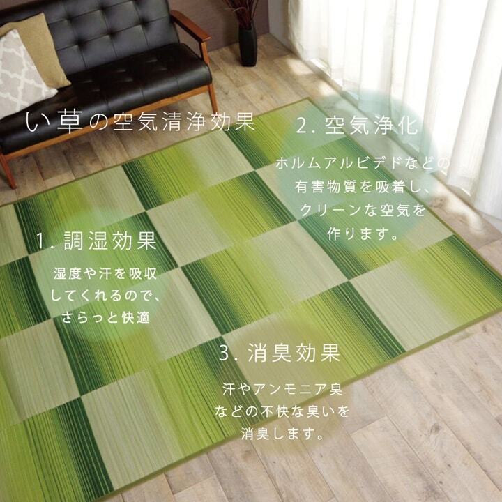 夏ラグ 夏用カーペット い草ラグ おしゃれ コンパクト シンプル カーペット 『DXモーセ』 約135×180cｍ 新生活