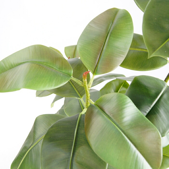 観葉植物 造花 フィカス ソフィア BROWN 全高約180cm 大型 フェイクグリーン 高級 本物そっくり リアル おしゃれ ナチュラル インテリア 人工観葉植物 アーティフィシャルグリーン オフィス 店舗 ホテル 開店祝い 室内 リビング 玄関 風水 ゴムの木