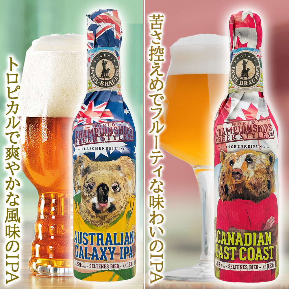 クラフトビール 10本 飲み比べセット ドイツ クラフトビール 330ml 10種 海外ビール 輸入ビール 簡易包装 段ボール 家飲み パーティー 誕生日 家族 友人 送料無料