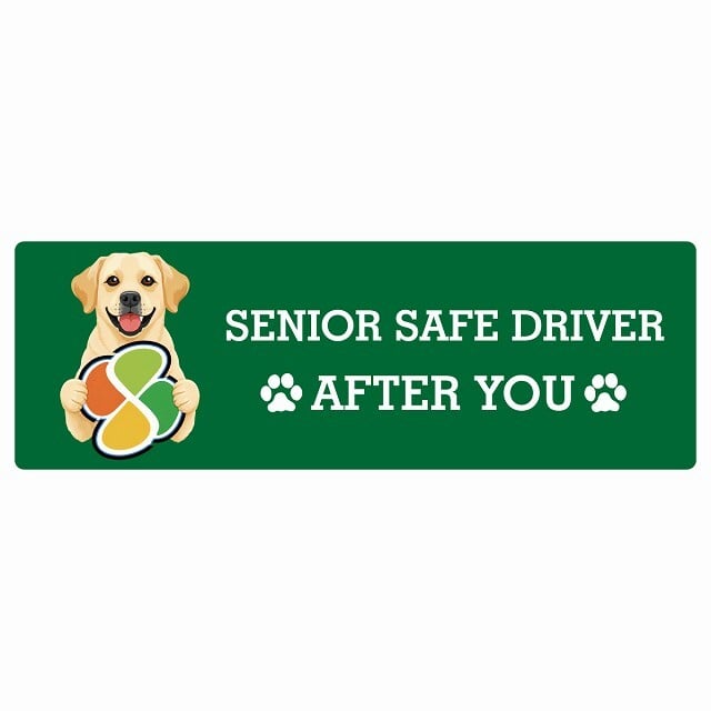 カーサイン 高齢者マーク SENIOR SAFE DRIVER ラブラドールレトリバー ステッカー シール 長方形 15x5cm 肉球 日本製 車