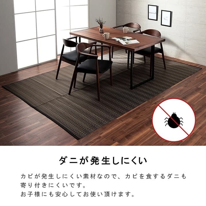 ラグ カーペット 洗える ダイニング 敷詰 丈夫 日本製 国産 除菌スプレー対応 アウトドア ペット 本間10畳（約477.5×382cm）