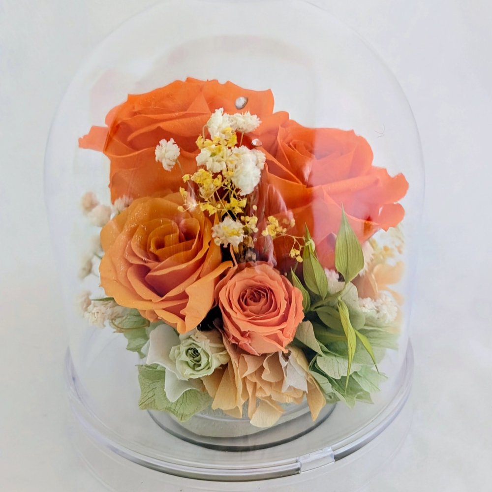 プリザーブドフラワー／オレンジの大輪の薔薇と小花のクリアドームギフト