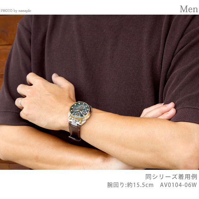 シチズン プロマスター LANDシリーズ Eco-Drive 50周年限定 TSUNO CHRONO ツノクロノ 腕時計 メンズ 数量限定 ソーラー CITIZEN PROMASTER AV0104-06W