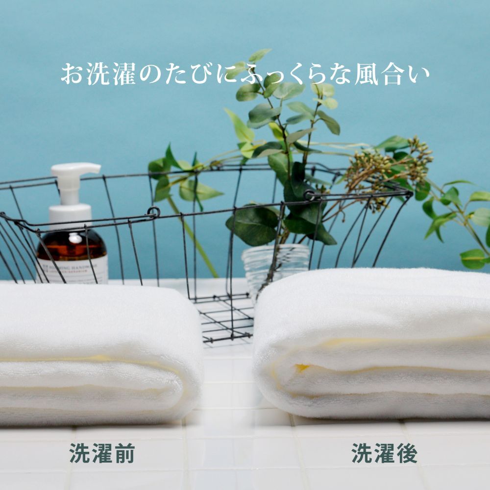 王様のタオル フェイスタオル（日常を優雅で贅沢なひとときに変える、ラグジュアリーコットン使用の高級今治タオル）日本製 認定品 厚手 吸水 ふわふわ ふっくら 綿100% わたうる ギフト プレゼント 洗顔 ヘアドライ 手拭き 34×80cm 白 ホワイト 贈り物 内祝い 結婚祝い