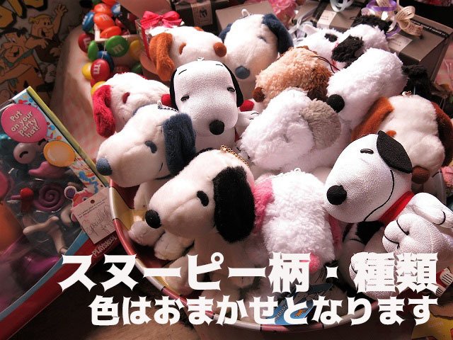 母の日 プレゼント スヌーピー入り 花 ダイヤモンド レインボーローズ入り 箱を開けてサプライズ スヌーピー入り 横長ボックス プリザーブドフラワー入り ◆スヌーピーカラーはお任せとなります