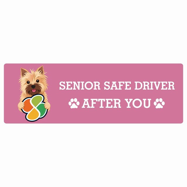 カーサイン 高齢者マーク SENIOR SAFE DRIVER ノーリッチテリア ステッカー シール 長方形 15x5cm 肉球 日本製 車
