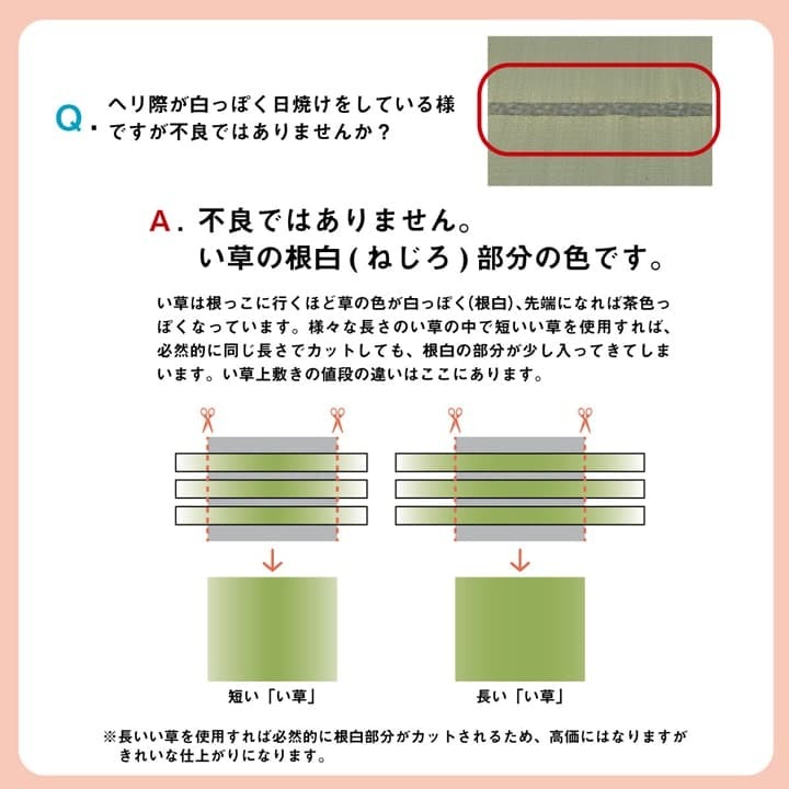 夏ラグ 夏用カーペット い草 上敷き カーペット 制菌 抗菌防臭 消臭 小林製薬KOBA-GUARD 江戸間4.5畳(約261×261cm）