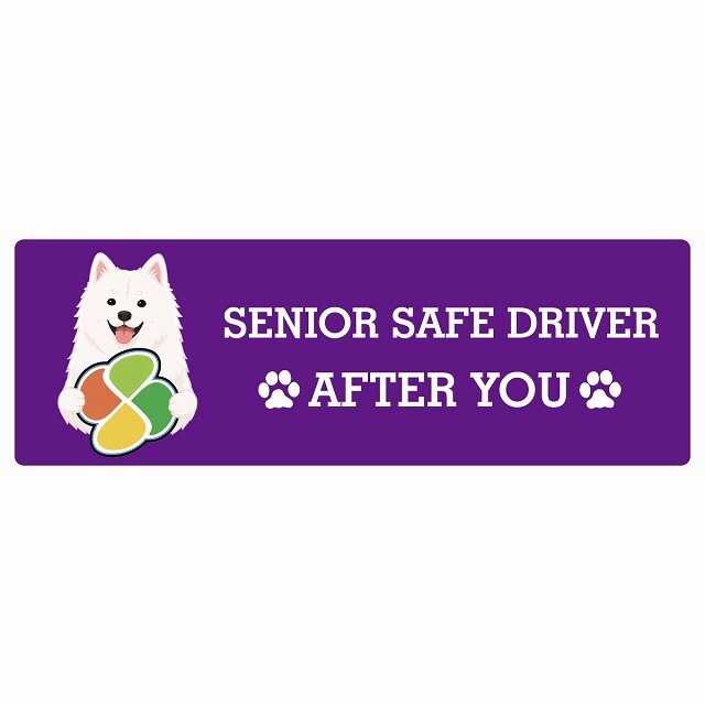 カーサイン 高齢者マーク SENIOR SAFE DRIVER 紀州犬 ステッカー シール 長方形 15x5cm 肉球 日本製 車
