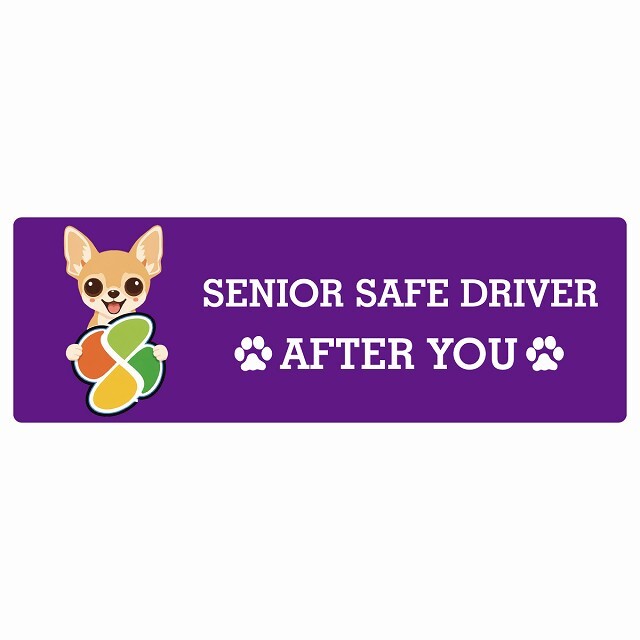 カーサイン 高齢者マーク SENIOR SAFE DRIVER チワワ ステッカー シール 長方形 20x6.7cm 肉球 日本製 車