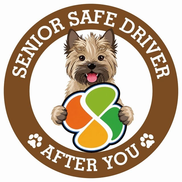 カーサイン 高齢者マーク SENIOR SAFE DRIVER ケアーンテリア ステッカー シール 直径13cm 肉球 日本製 車