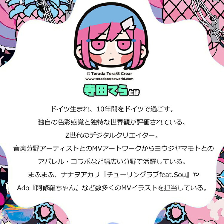 寺田てら ステンレスワンプッシュボトル480ml 送料無料 保温 保冷 012-201 てきとう女子 ワンタッチ 軽量モデル chroma