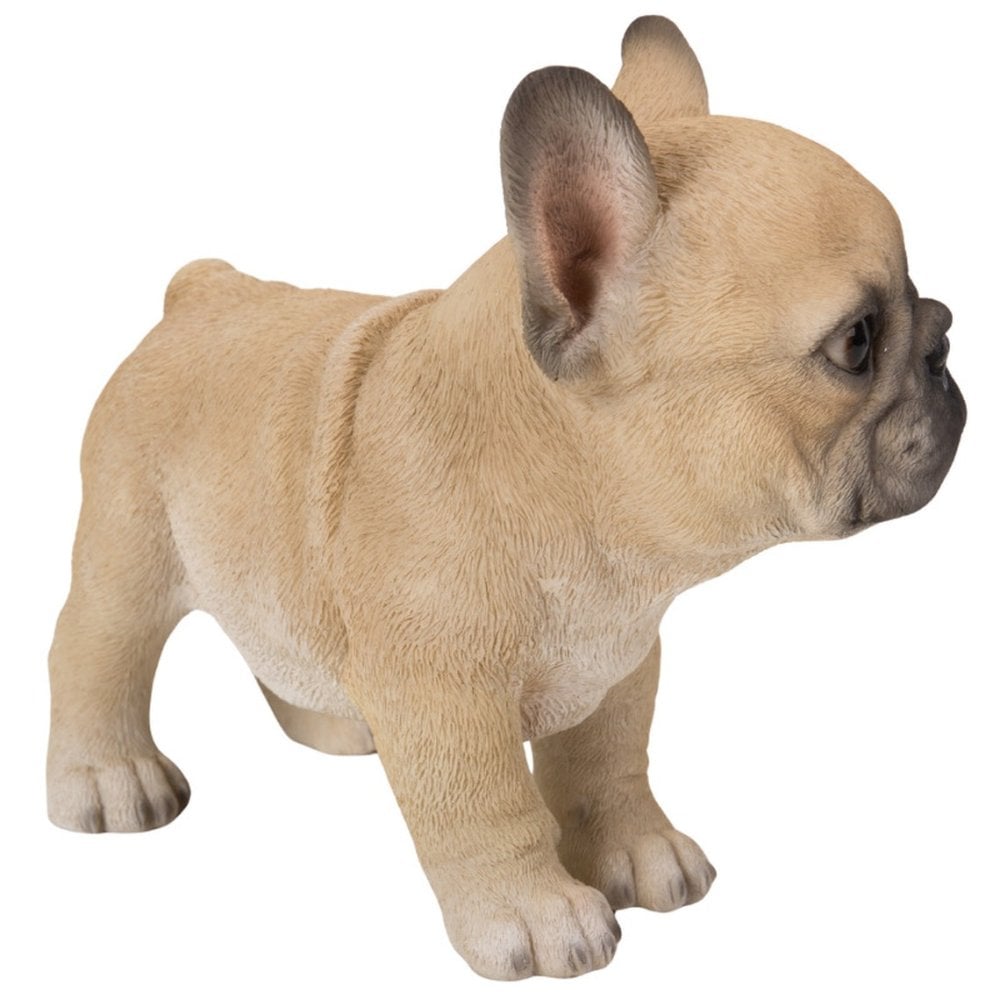 置物 woobia ウービア フレブル 立つ子犬のフレンチブルドッグ フォーン 幅17.8cm 子犬 リアル 本物そっくり イギリス生まれ 職人手彩色 縁起物 戌年 玄関 インテリア 新築祝い 引っ越し祝い 開店祝い 出産祝い 誕生日 お祝い ギフト プレゼント 犬好き フレンチブルドッグ好き