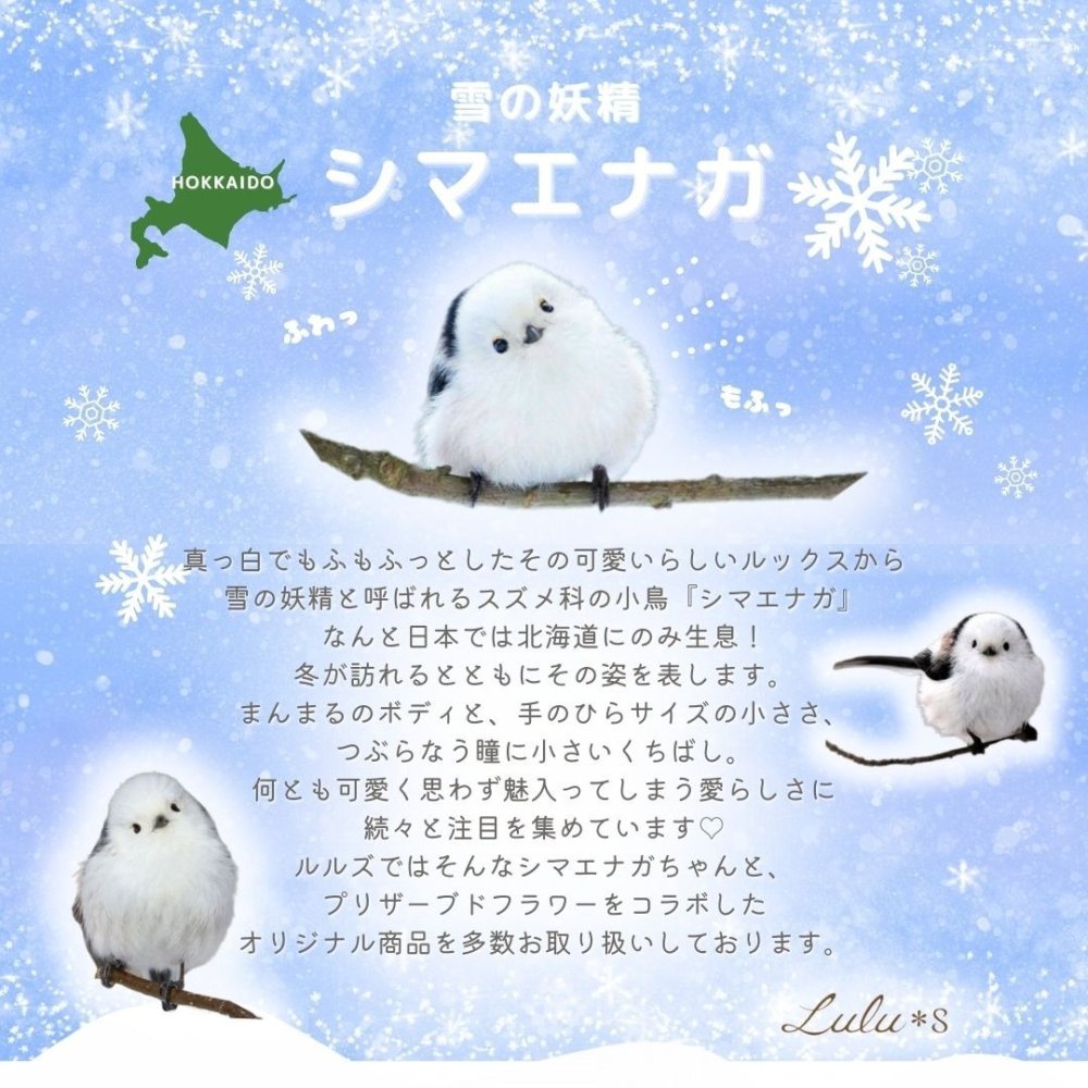 スターバックス スタバ コーヒー ギフト セット 秋の紅葉とシマエナガ ハーバリウム プリザーブドフラワー ドライフラワー 敬老の日 誕生日 記念日 プレゼント 秋 ギフト もみじ 雪の妖精 野鳥 小鳥 癒し 贈り物 インテリア ルルズ Lulu＊s