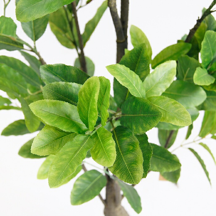 観葉植物 造花 レモンの木 BROWN 全高約183cm 大型 実付き フェイクグリーン 高級 本物そっくり リアル おしゃれ インテリア 人工観葉植物 アーティフィシャルグリーン オフィス 店舗 カフェ 開店祝い 室内 リビング 玄関 風水 果樹 檸檬