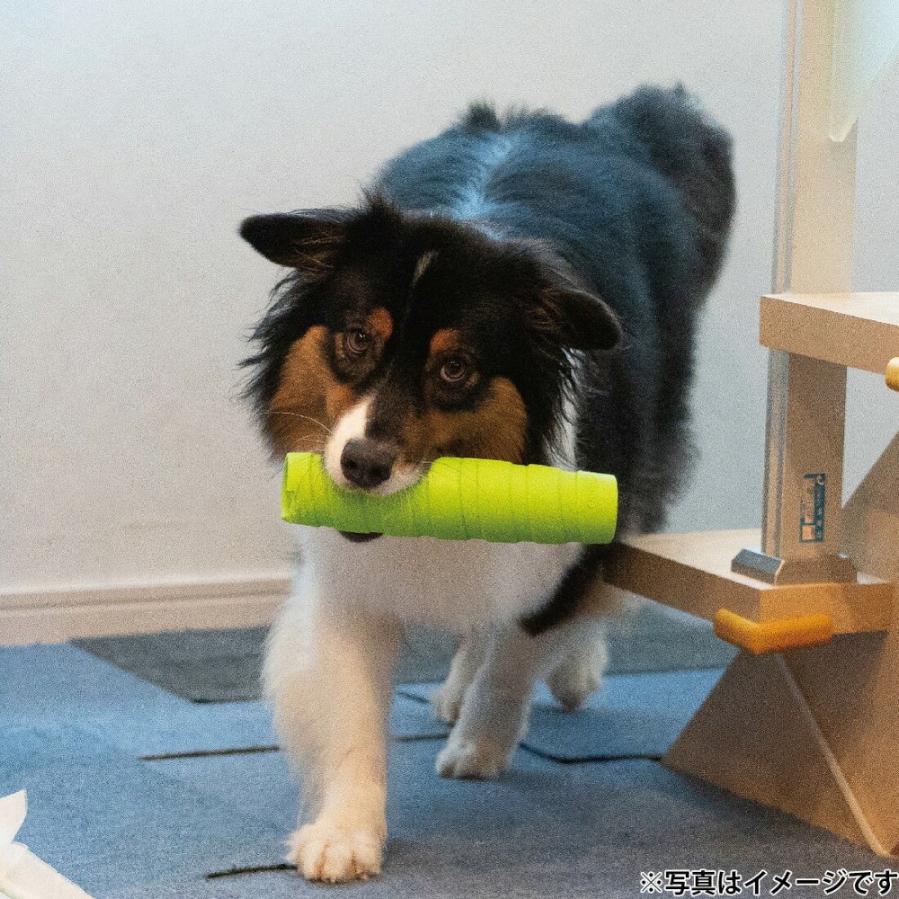 ジョイサー JOYSER ホールスティック 犬用おもちゃ オレンジ