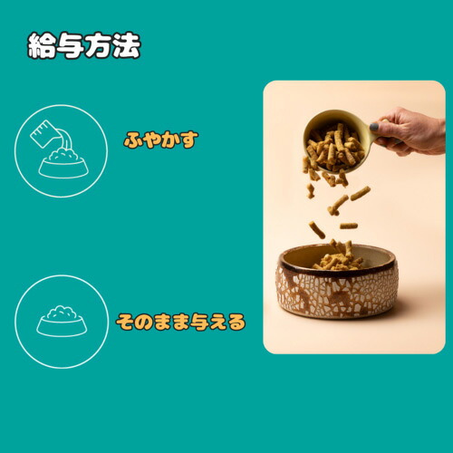 フロンティアペッツ frontier pets 犬用 ラム＆天然フィッシュ ドッグフード フリーズドライ（ローフード） グレインフリー 300g