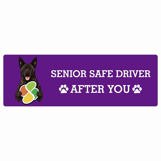 カーサイン 高齢者マーク SENIOR SAFE DRIVER 甲斐犬 ステッカー シール 長方形 20x6.7cm 肉球 日本製 車