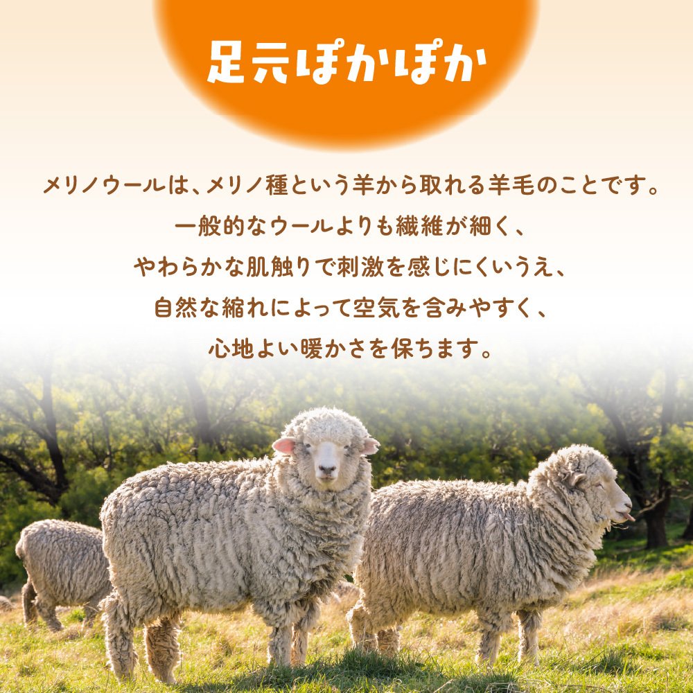 メリノ混 ふくらはぎウォーマー あったまるん 日本製 レッグウォーマー ふくらはぎ用 ウール混 冷え対策 秋冬 防寒 保温 足元ウォーマー アームウォーマー ふくらはぎ 冷え 足 足首 あったかグッズ