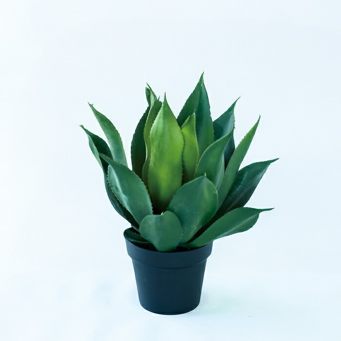 観葉植物 造花 アガベ アテナータ BROWN 全高約50cm 卓上・小型 フェイクグリーン 本物そっくり おしゃれ インテリア 人工観葉植物 アーティフィシャルグリーン オフィス 店舗 ホテル 開店祝い 室内 ミニ 多肉植物 フェイク