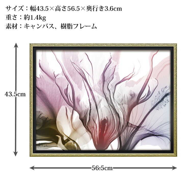 X RAY キャンバスアート ブリリアント ソング M XR-12503 送料無料 アートフレーム 花 葉っぱ 葉 X線 絵画 アート インテリア