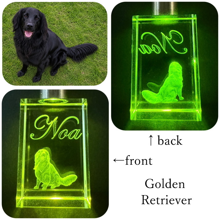 ３D彫刻 うちの子光るクリスタルキーホルダー　　犬 猫 ペット 立体 名入れ メモリアル オーダー ガラス ギフト プレゼント キレイ シンプル 透明 クリア 女性 男性