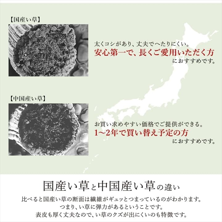 置き畳 ユニット畳 システム畳 国産 日本製 ナチュラルスタイル い草 消臭 抗菌防臭 市松 約82×82×2.3cm 2P 同色2枚組