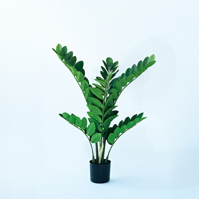 観葉植物 造花 ザミオクルカス BROWN 全高約70cm 卓上・小型 フェイクグリーン 本物そっくり おしゃれ インテリア 人工観葉植物 アーティフィシャルグリーン オフィス 店舗 ホテル 開店祝い 室内 ミニ ザミフォーリア 多肉 フェイク