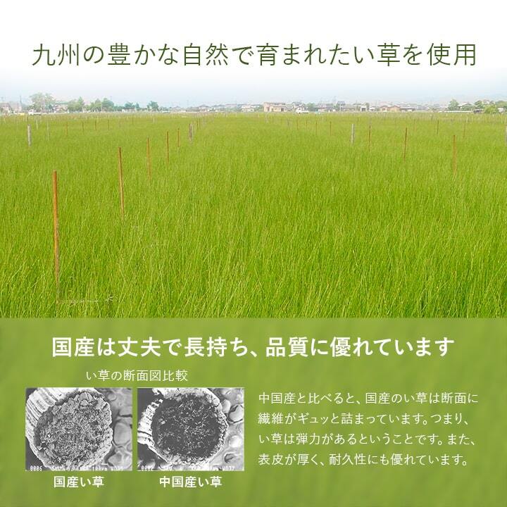 夏ラグ 夏用カーペット 置き畳 半畳 国産 い草 簡単 和室 約82×82cm 12枚組
