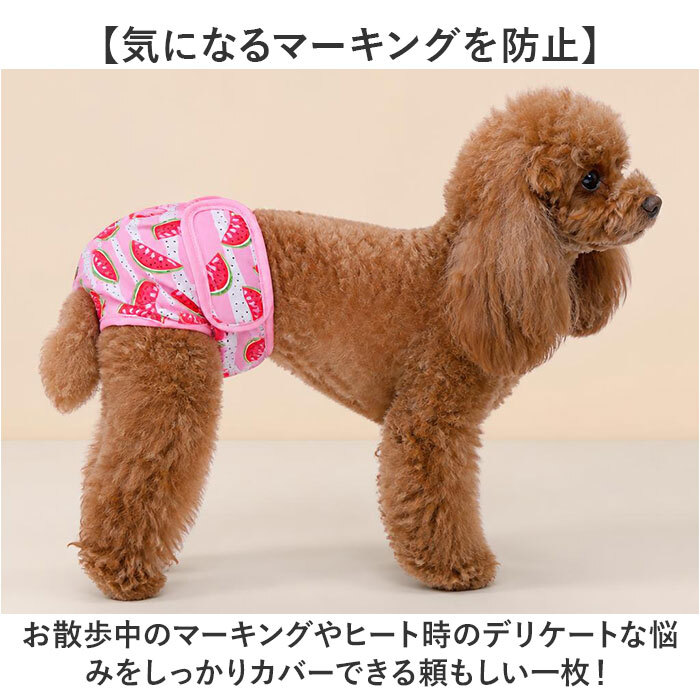 犬 マナーパンツ 女の子 通販 サニタリーパンツ 生理パンツ イヌ いぬ ドックウェア オムツカバー パンツタイプ おむつカバー ペットウェア 犬服 ペット服 お散歩 術後 お出かけ かわいい 可愛い オシャレ おしゃれ マーキング防止