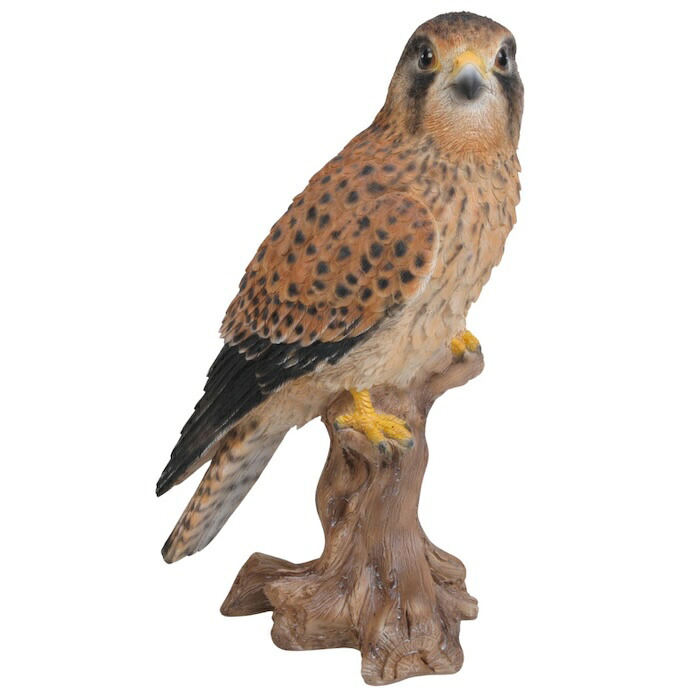 置物 鳥 チョウゲンボウ 高さ21.5cm woobia ウービア 野鳥 リアル おしゃれ 玄関 インテリア オブジェ ガーデン 北欧 ナチュラル 猛禽 動物 アニマル 癒し 鳥好き 出窓 棚 玄関飾り プレゼント ギフト バードウォッチング