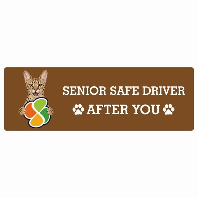 カーサイン 高齢者マーク SENIOR SAFE DRIVER サバンナ ステッカー シール 長方形 15x5cm 肉球 日本製 車
