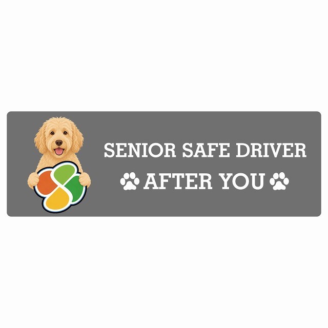 カーサイン 高齢者マーク SENIOR SAFE DRIVER ラブラドゥードル ステッカー シール 長方形 20x6.7cm 肉球 日本製 車
