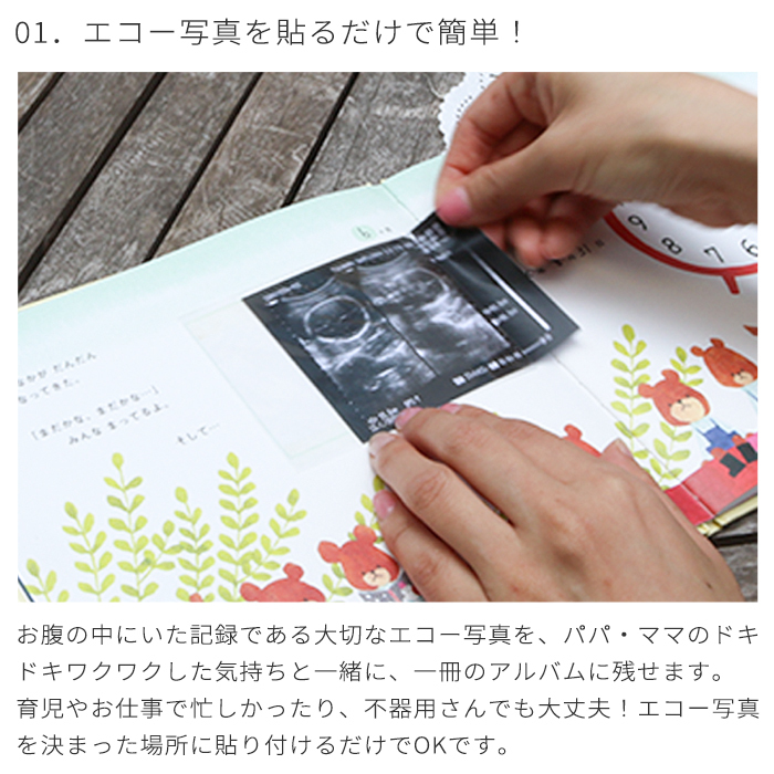 くまのがっこう アルバムしかけ絵本 「たんじょうものがたり」 | エコー写真 保存 エコーアルバム フォトアルバム マタニティアルバム 写真 おたんじょうきろく 赤ちゃん ベビ