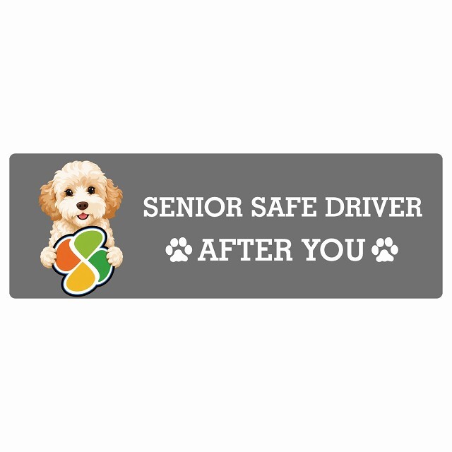カーサイン 高齢者マーク SENIOR SAFE DRIVER ゴールデンドゥードル ステッカー シール 長方形 15x5cm 肉球 日本製 車