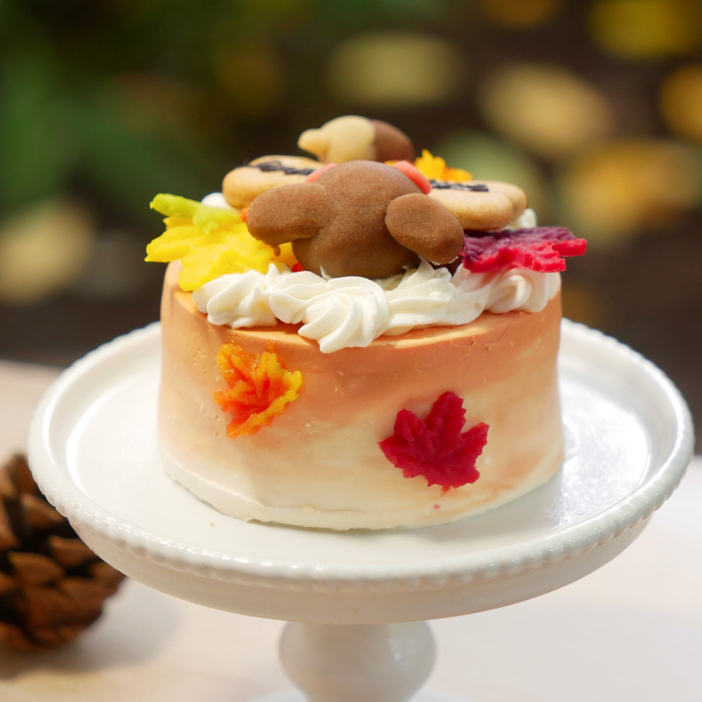 犬用ケーキ 誕生日 ちぃさい秋みぃ～つけた紅葉いちごショートケーキ プチサイズ 無添加 食いつき 人気 おすすめ 手づくりごはん 小型犬 犬 小さいサイズ バースデー ケーキ フードケーキ ごはん プレゼント ギフト 贈り物 お誕生日 お迎え記念日 快気祝い ご贈答用 結婚祝い パーティー お茶会 犬友 猫友 お祝い お誕生日 ワンちゃん ペットフード ドッグフード