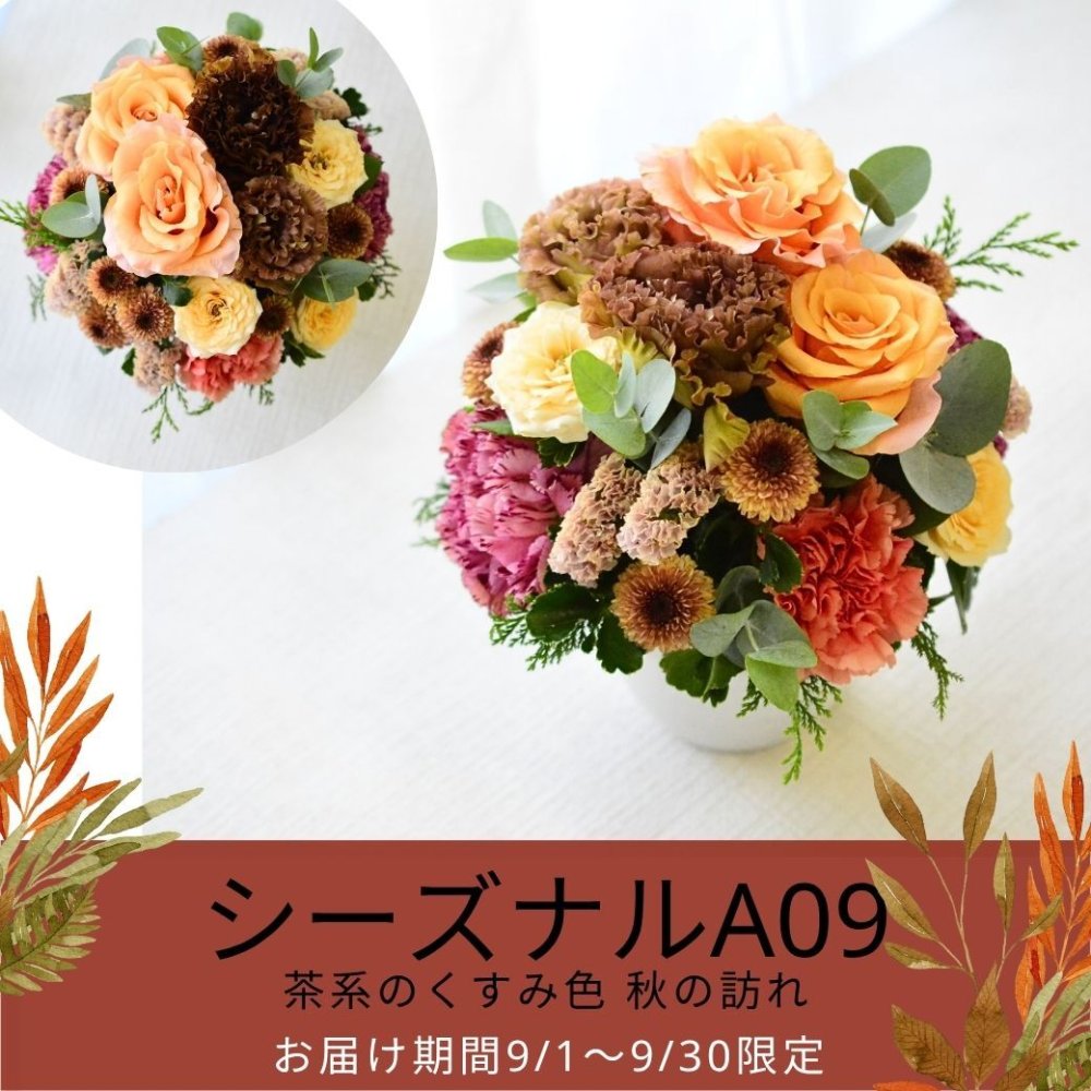 【おまかせアレンジメントＳsize】即日発送 送料無料 生花アレンジメント 生花 アレンジメント 色を選んでおまかせ 誕生日 お祝い 結婚式 展示会 楽屋花 出産お祝い 記念日ギフト 父の日 母の日 敬老の日 お見舞い プレゼント お中元 お歳暮 お彼岸